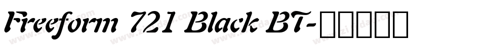 Freeform 721 Black BT字体转换